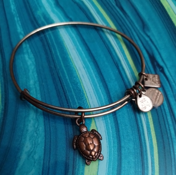 Alex and Ani Sea Turtle Charm Bracelet - Picture 10 of 13